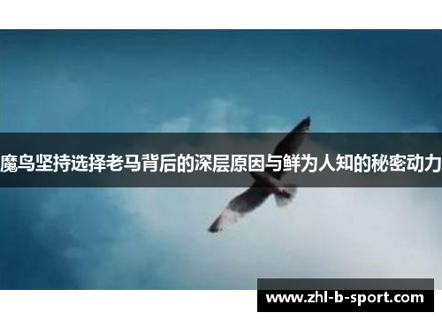 魔鸟坚持选择老马背后的深层原因与鲜为人知的秘密动力